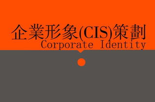 廣告、營銷、品牌與企業(yè)策劃 戰(zhàn)略協(xié)同下的廣告設計核心